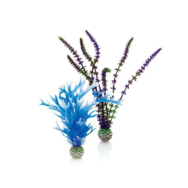 Oase biOase Aquarium Plant Set Large