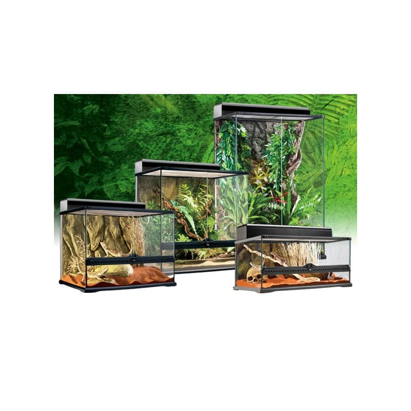 Exo Terra Glass Terrarium Wide 60x45x30 cm | AvonturiaShop
