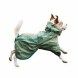 7 Best Dog Raincoats: Hooded, Waterproof, Reversible & More - Canine ...