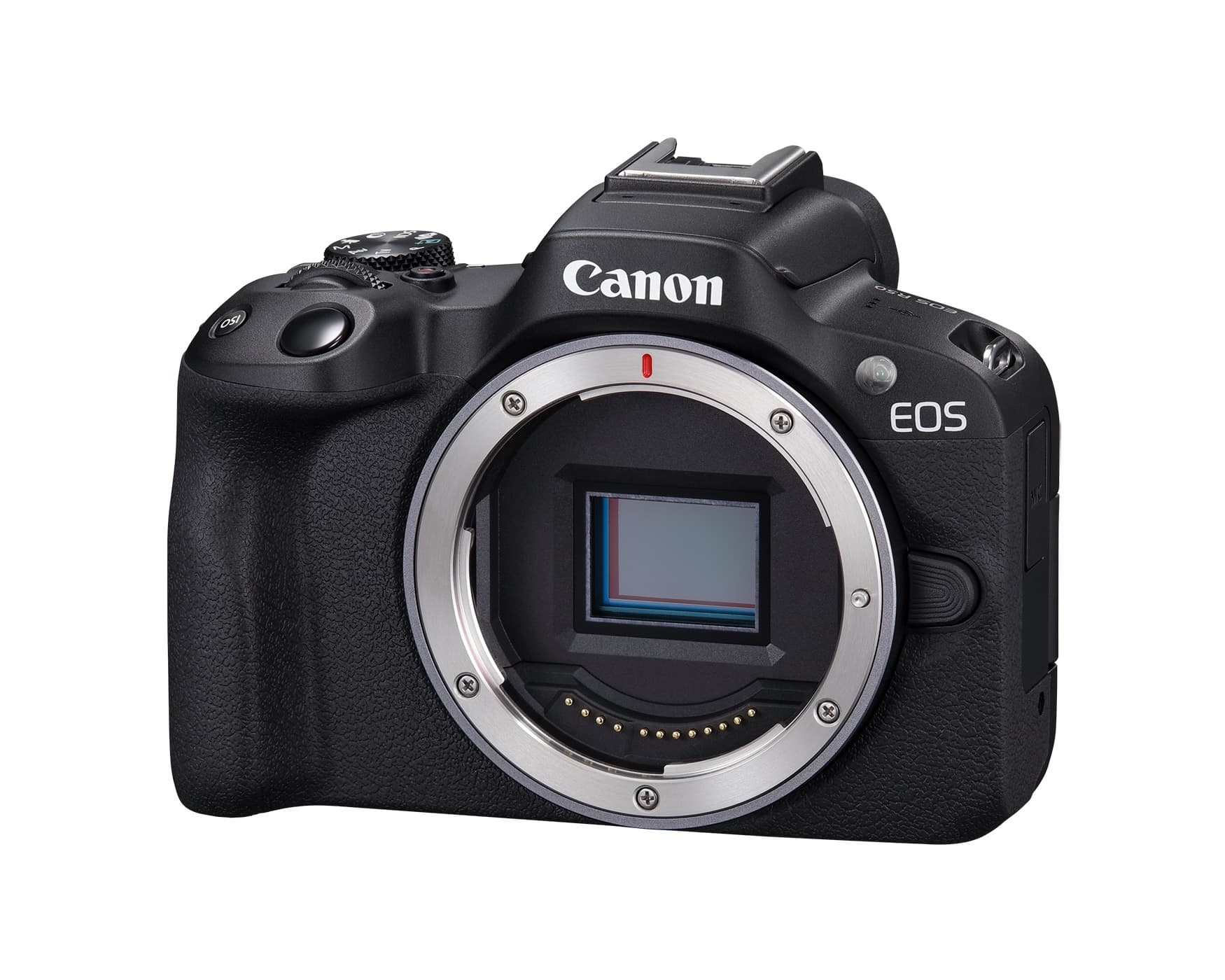 Canon EOS R50 Review (bang for bucks, lacks native lenses)