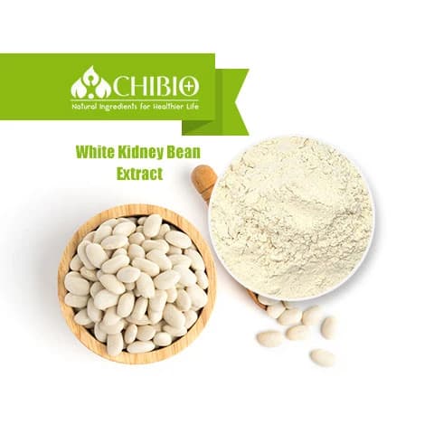 White Kidney Bean Extract ≥1000U – Natural Carb Blocker & Weight ...