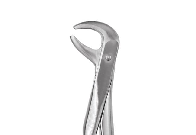 Extracting Forceps English Pattern Dental Tooth Extraction Forceps Fig