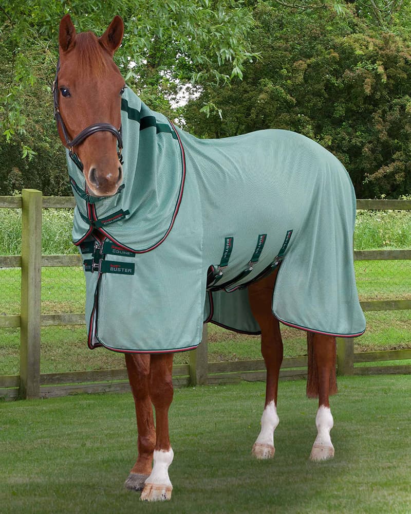 Premier Equine Buster Waffle Fly Rug - Best Picks & Reviews by InceptionAI