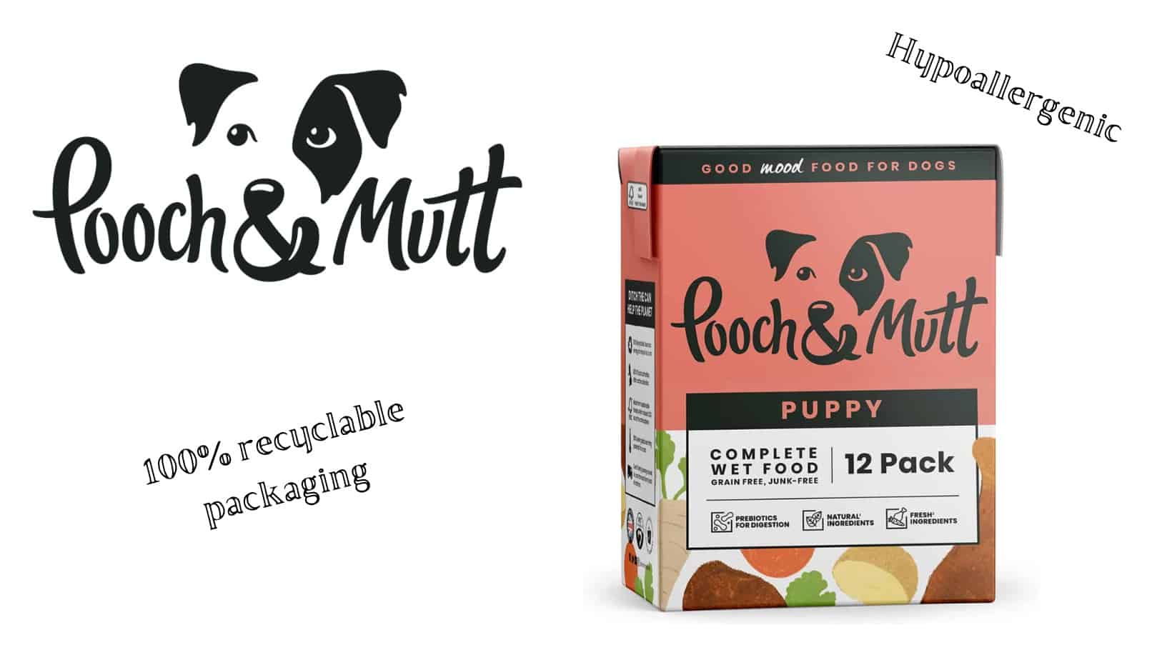 Best Wet Dog Food to Buy 2024 [For all Budgets]