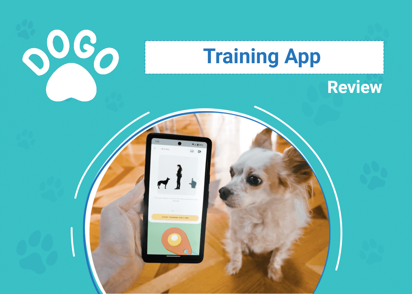 Dogo App Review 2025: An Expert's Breakdown – Dogster