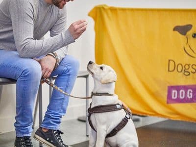 Enrichment activities to keep your dog entertained | Dogs Trust