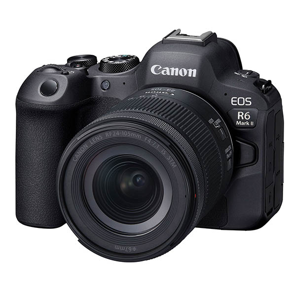 Canon EOS R6 Mark II: The Ultimate Camera for Wildlife and Bird ...