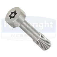 TR Fastenings Captive Security Screws