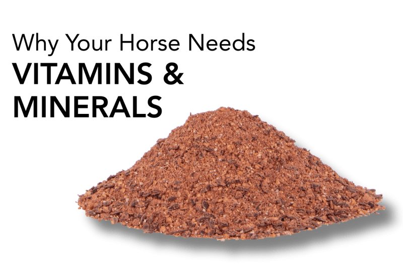 Why Your Horse Needs Vitamins and Minerals | Feedmark