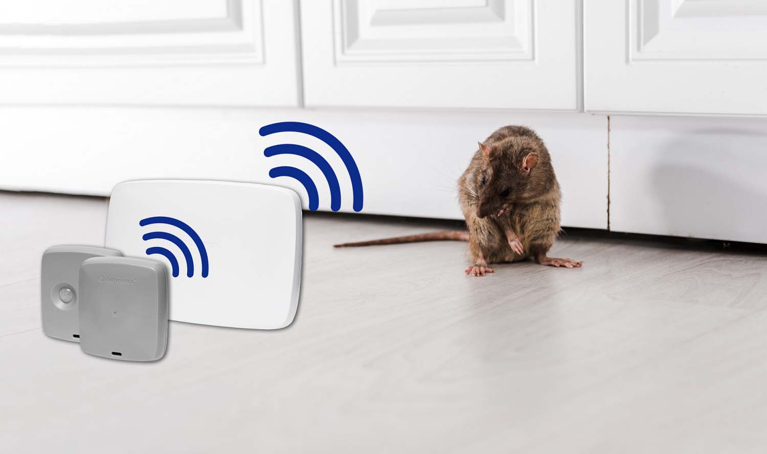 Digital Rodent Monitoring - Flick Pest Control