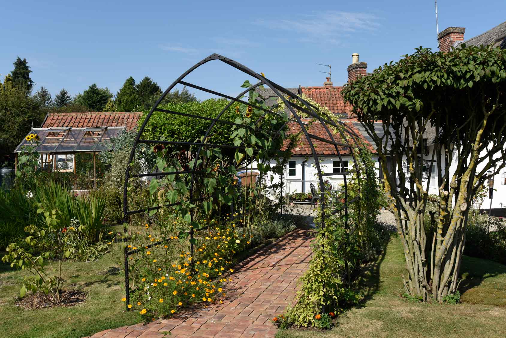 Gothic Arch Metal Garden Pergola - Harrod Horticultural (UK)