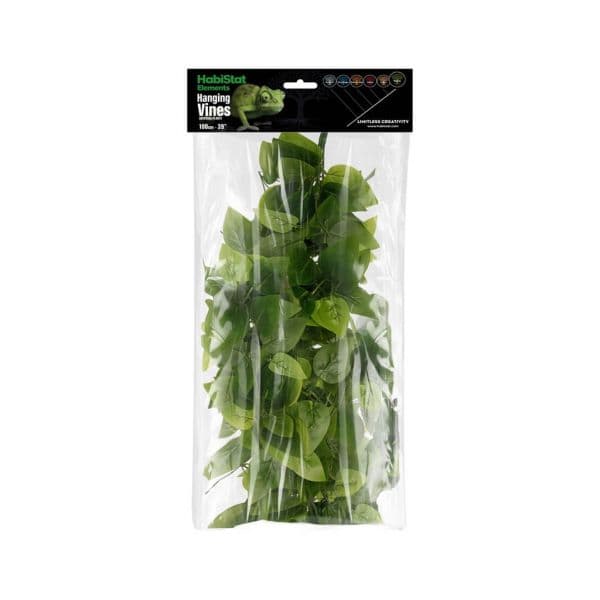 Habistat hanging vine "Forever green" - Køb online i dag