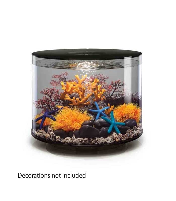 biOrb Tube 35 MCR Cylindrical Aquarium (Black) - All-round 360° View