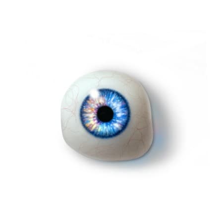 Custom Eyes │ National Artificial Eye Service