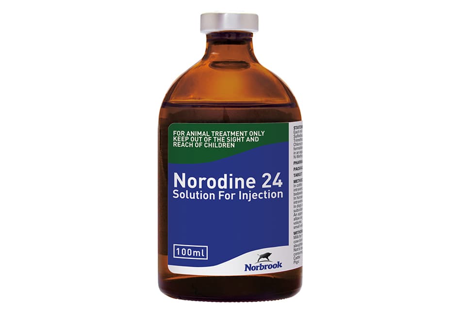 Norodine 24 Injection | Norbrook Laboratories