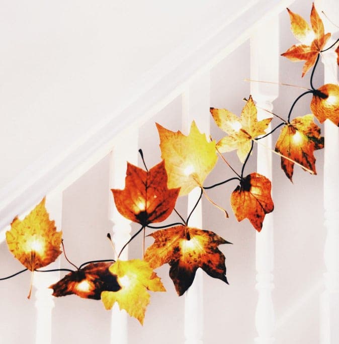 Seven Decorative Thanksgiving Lighting Ideas - Northern Lights and Trees