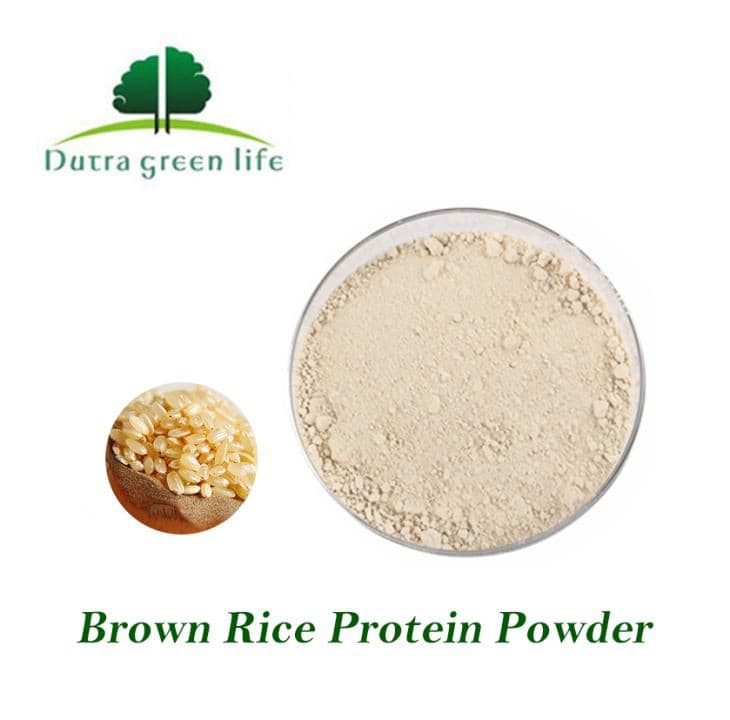 China Organic Bulk Brown Rice Protein Powder Manufacturers Factory ...