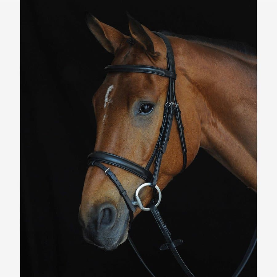 Collegiate Comfort Crown Padded Raised Flash Bridle > Bridles > Orchard ...