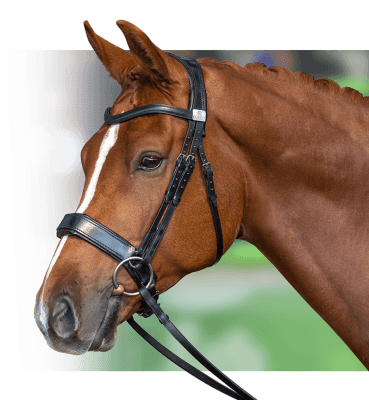 Bridles – Patrick Wilkinson Saddlery