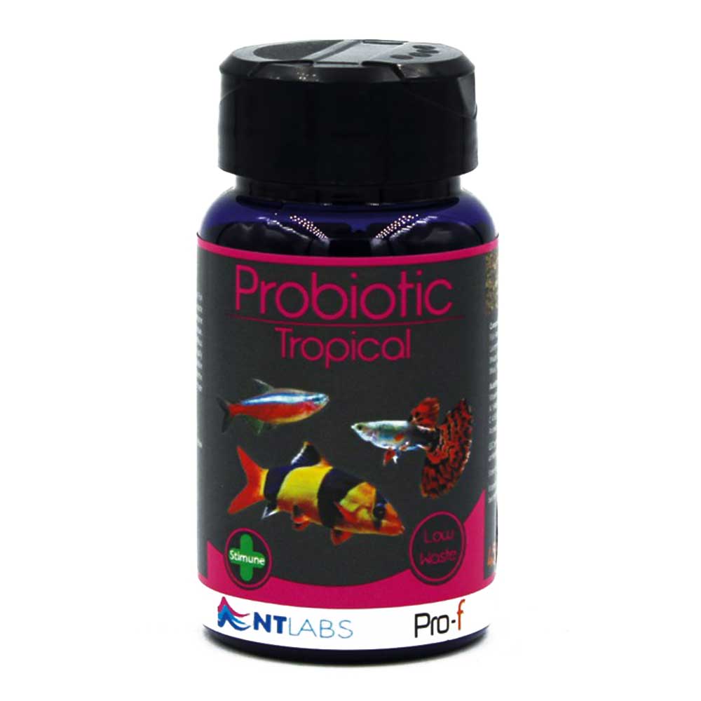 NT LABS Pro-f Probiotic Tropical Fish Food • Petmania