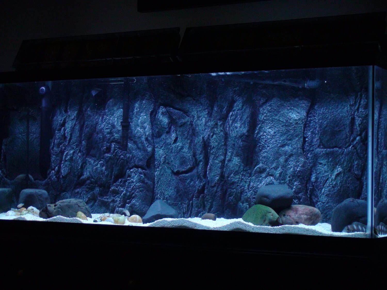 3D Aquarium Backgrounds - PixelsTalk