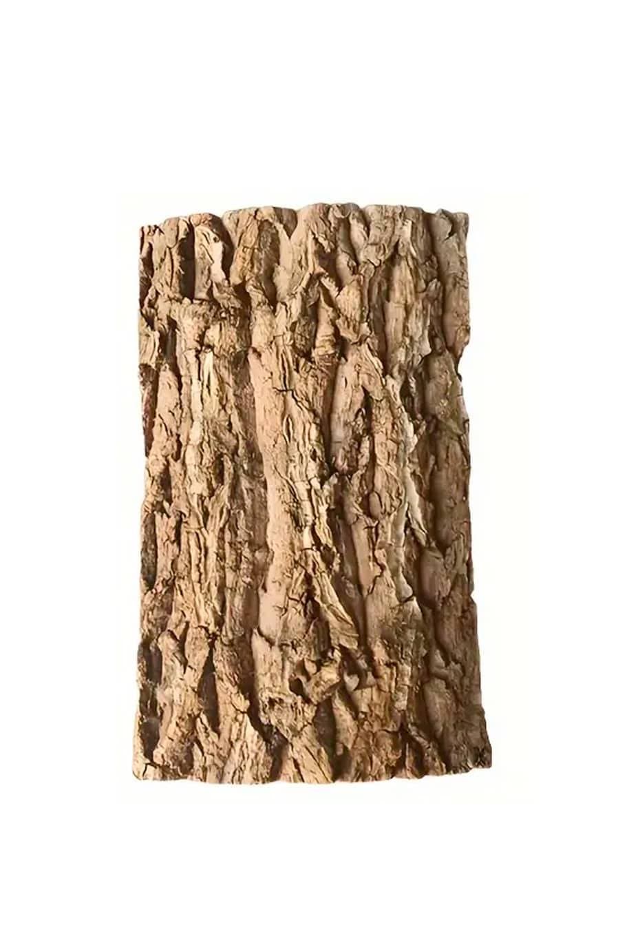 Buy Natural Cork Bark Planting Board | Plantshop.me