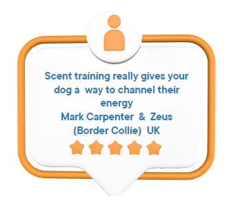 Online Scentwork Training Course - Sniff It Out