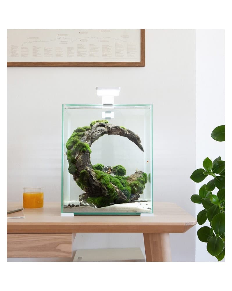 Aquael Shrimp Set Smart Day et Night - 30L Black Le” Shrimp Set Day...
