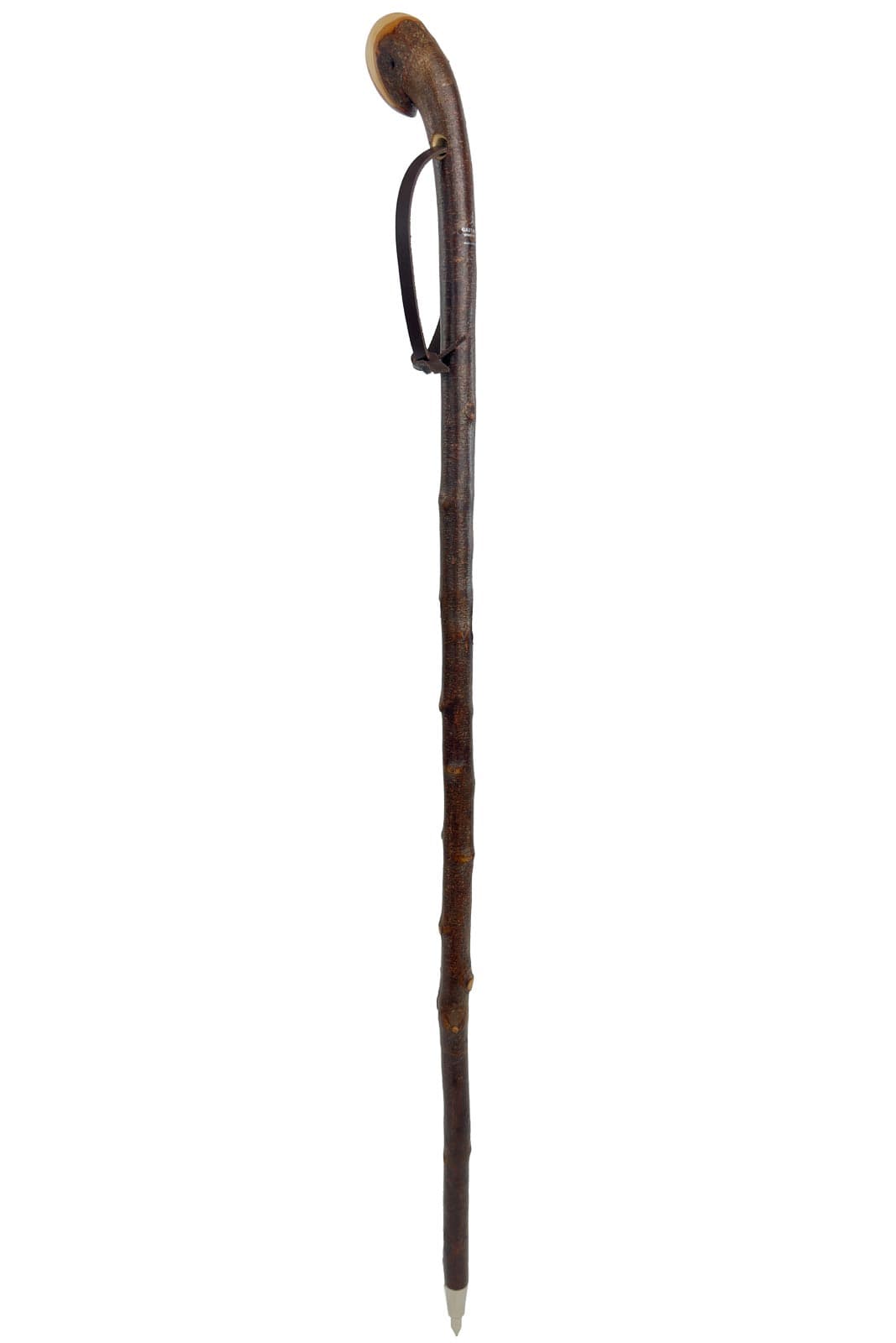Blackthorn Knob Handle Walking Stick