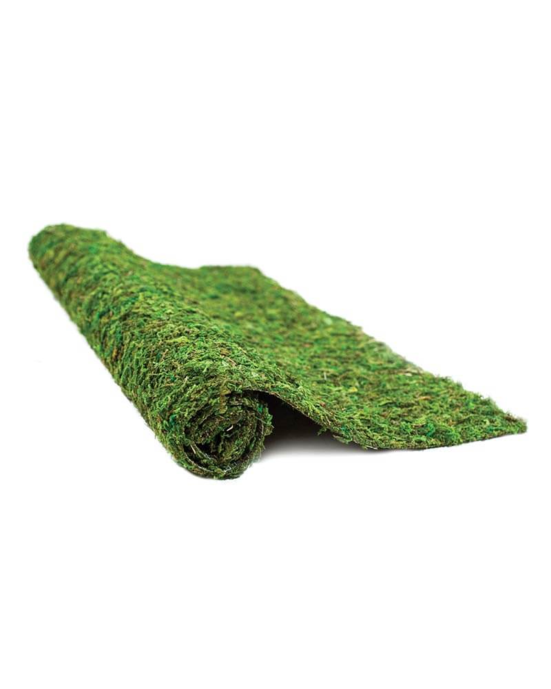 SuperMoss - Instant Green Moss Mat