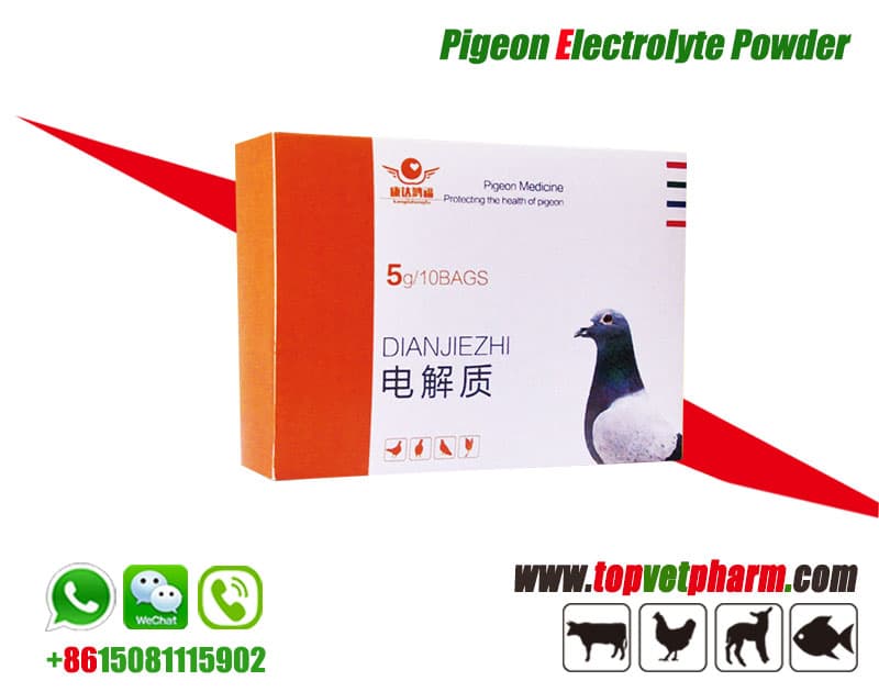 racing pigeon electrolytes supplements