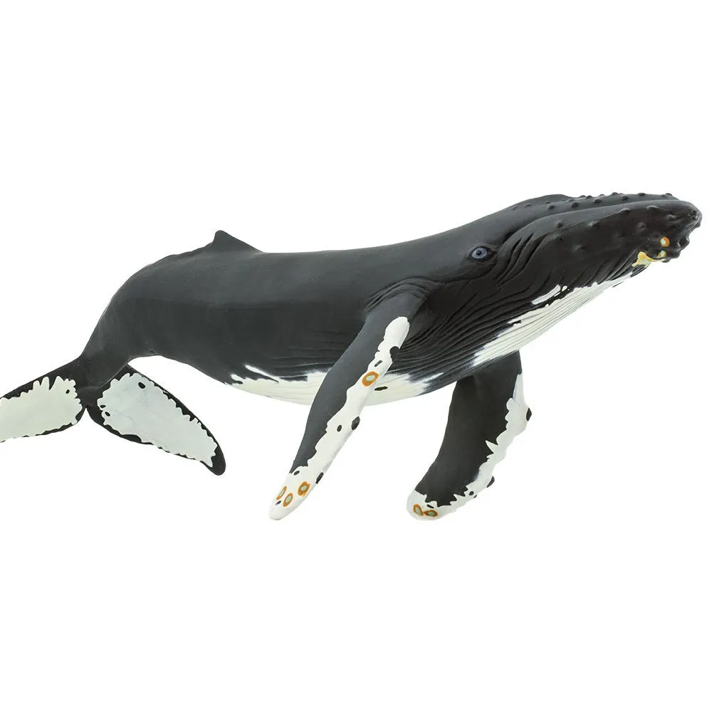 Safari ltd Humpback Whale Figure Black | Kidinn