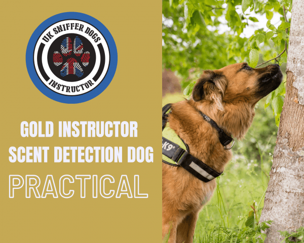 Detection Dog Instructor Course GOLD (PRACTICAL)