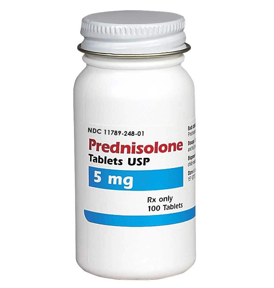 Prednisolone for Dogs, Cats and Horses Lloyd - Safe.Pharmacy ...