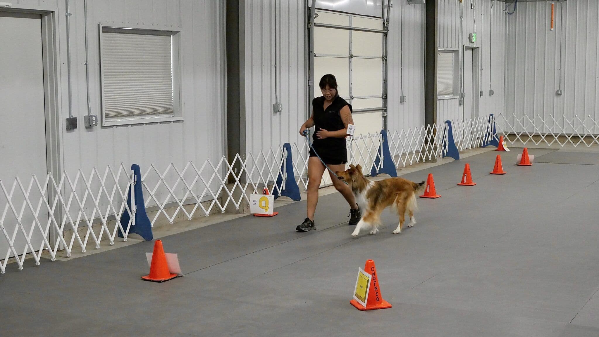 How to Get Involved in Rally, an Obedience-Based Dog Sport - Whole Dog ...