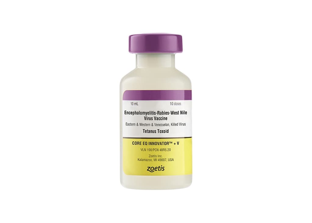 Zoetis Equine Products | Zoetis