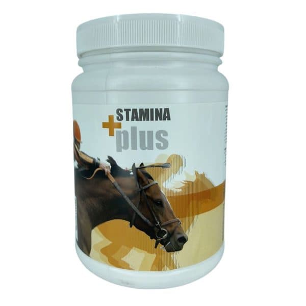 Stamina Plus – Zabeel Vets