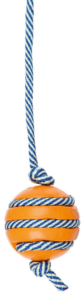 Trixie Ball With Phosphorescent Rope, Natural Rubber at Rs 360 | Dog ...