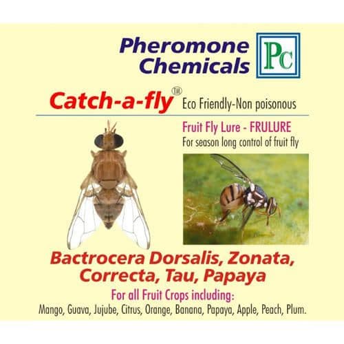Pheromone Lures - Fruit Fly Lure Manufacturer from H…
