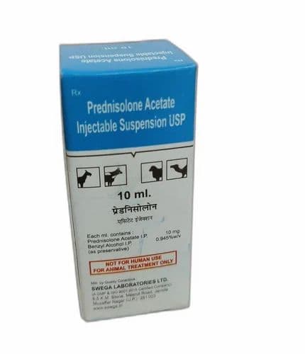 Prednisolone Vet Injection at ₹ 39/box | Orapred in Ahmedabad | ID ...