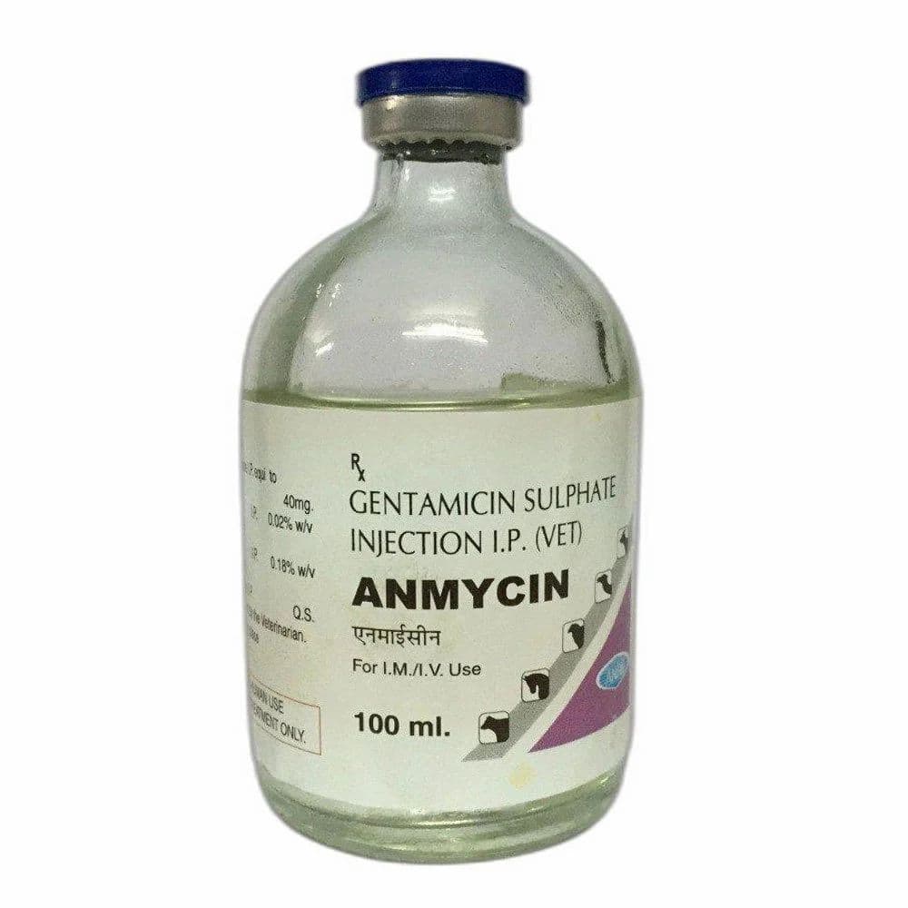 Anhil Gentamicin Sulphate Injection, 100 ml at ₹ 60/vial in Patan | ID ...