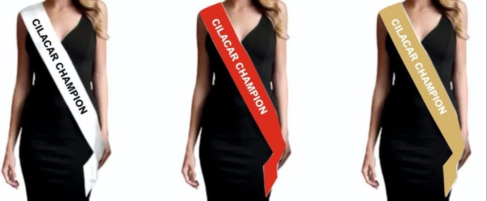 Personalized Sashes at Best Price in India