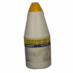 Enrofloxacin Oral Solution - Enrofloxacin Oral Suspension Latest Price ...
