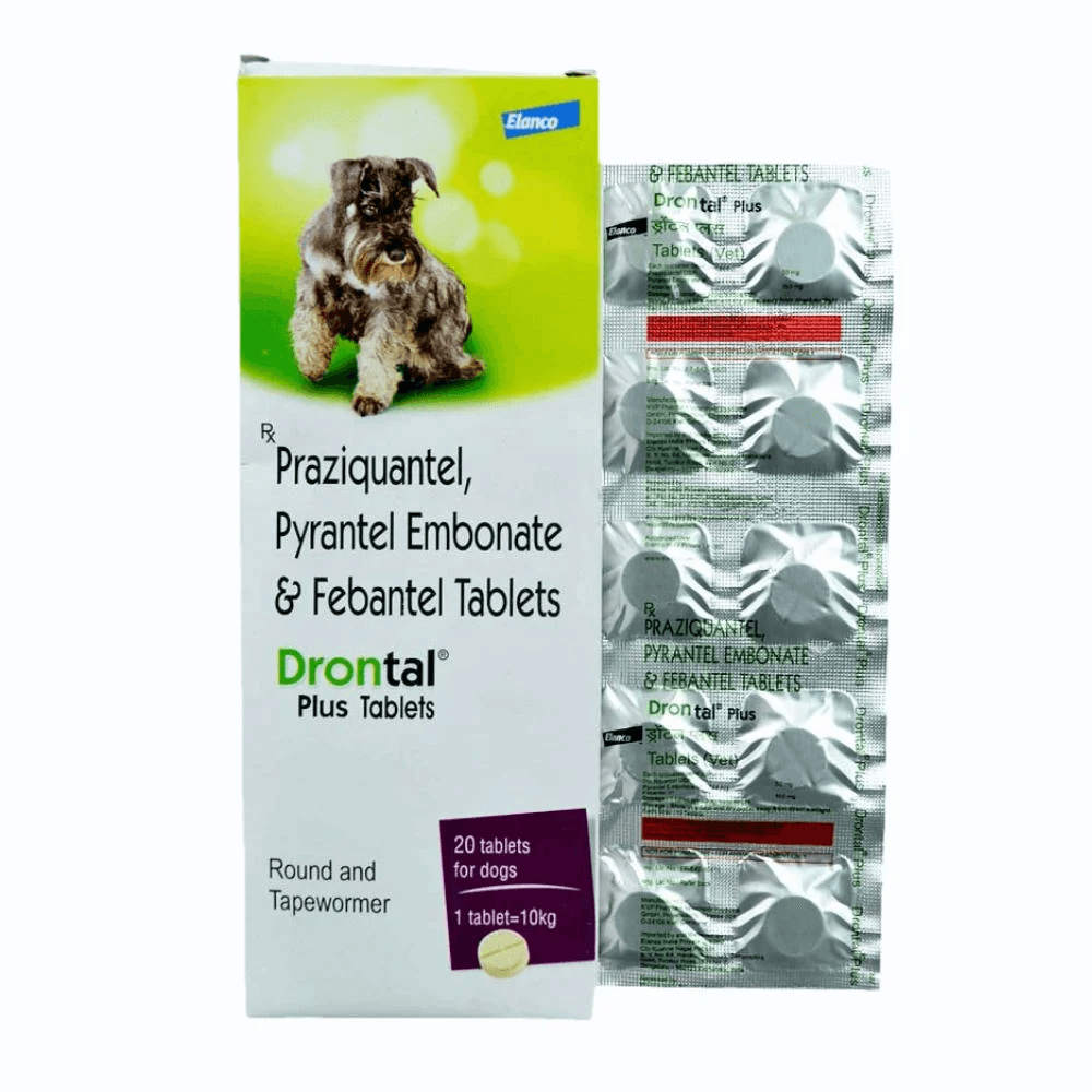 Drontal Plus Flavour Bone Shaped Tablets at ₹ 840/box | Praziquantel ...