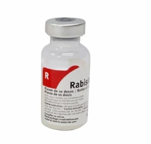 10ml Rabisin Rabies Antigen Plus Alu Injection at ₹ 100/piece | ARV ...