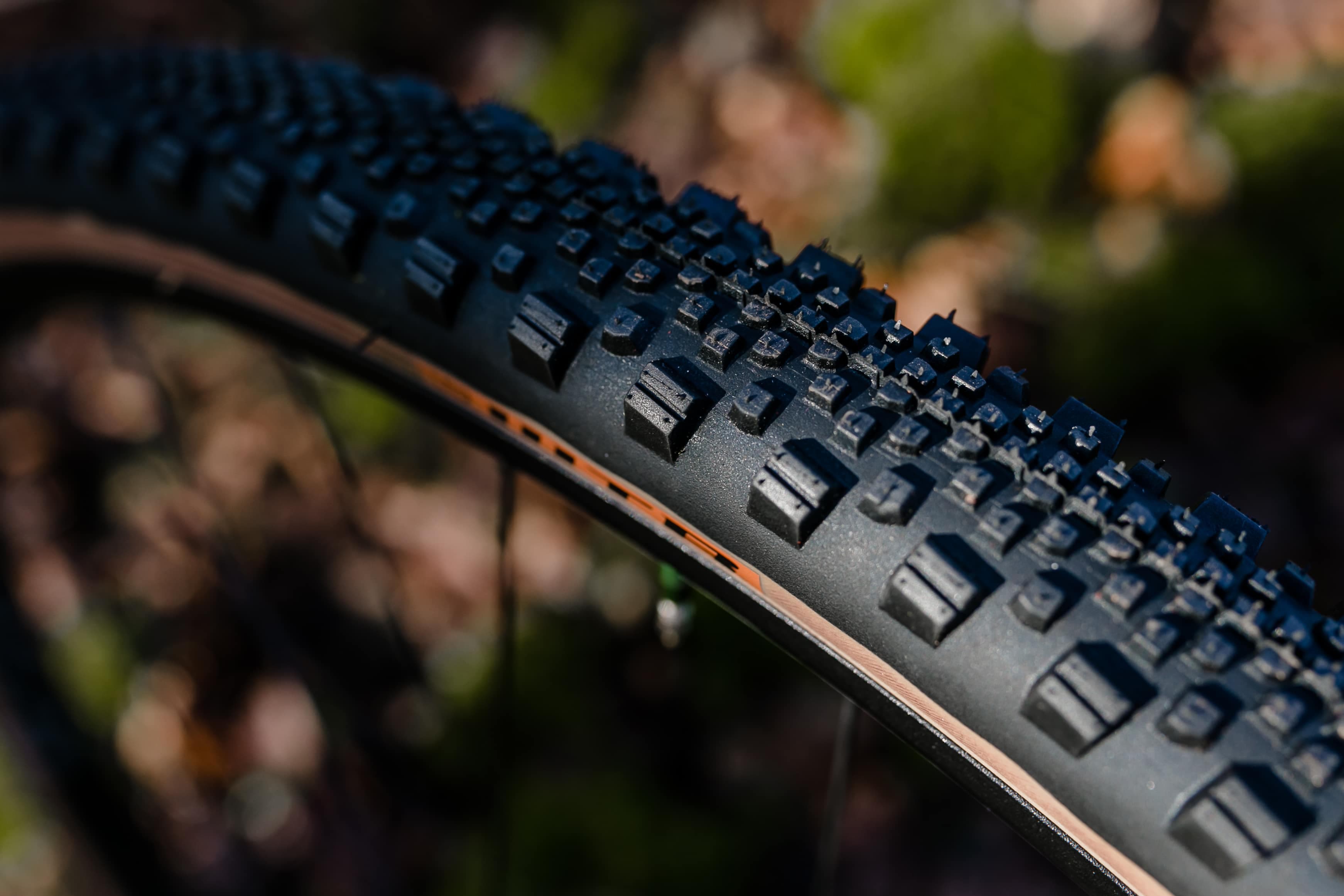 New WTB Raddler: A radder Riddler – ADVNTR.cc