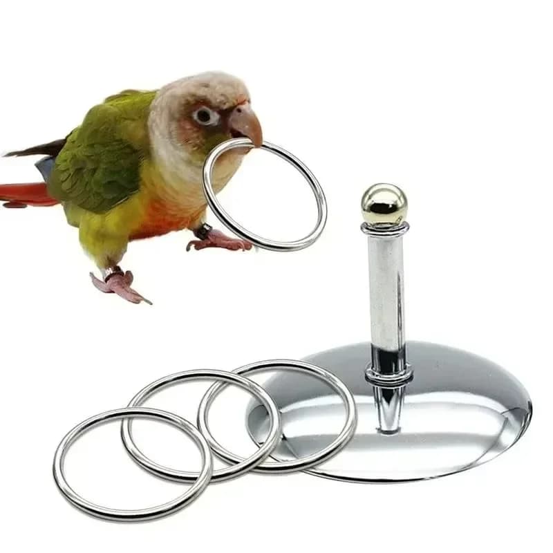 Bird Parrot Stacking Ring Toy – Pet World Market