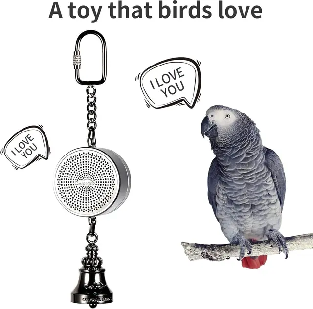 Parrot Toys to Teaching Training Bird Talking Coach Interactive ...