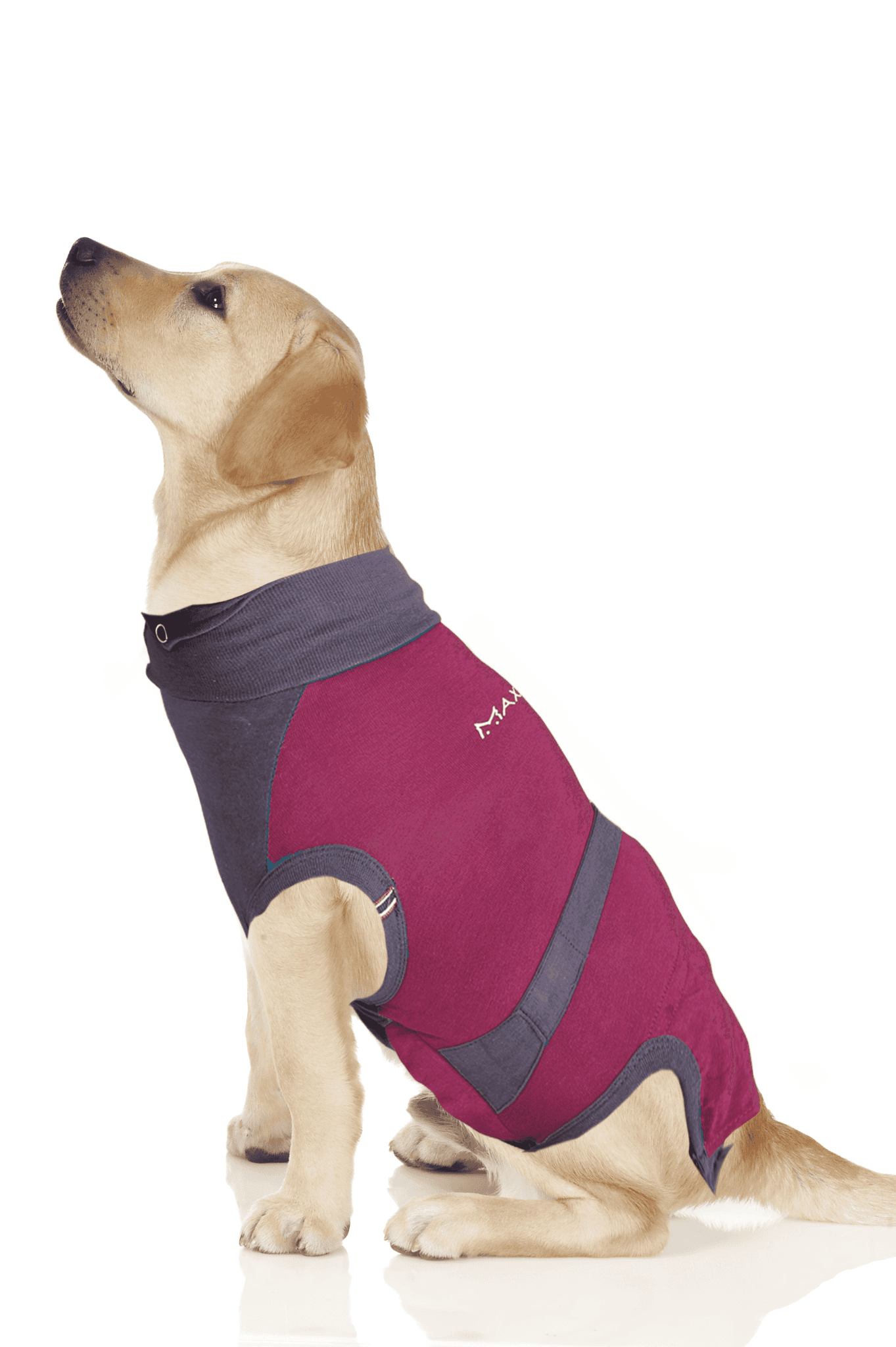 MAXX Medical Pet Care Clothing For Dogs