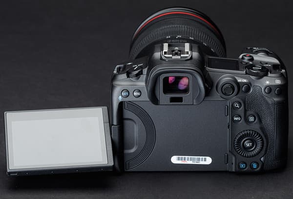 Best Camera For Bird Photos: Canon EOS R5 Full-Frame Mirrorless Camera ...